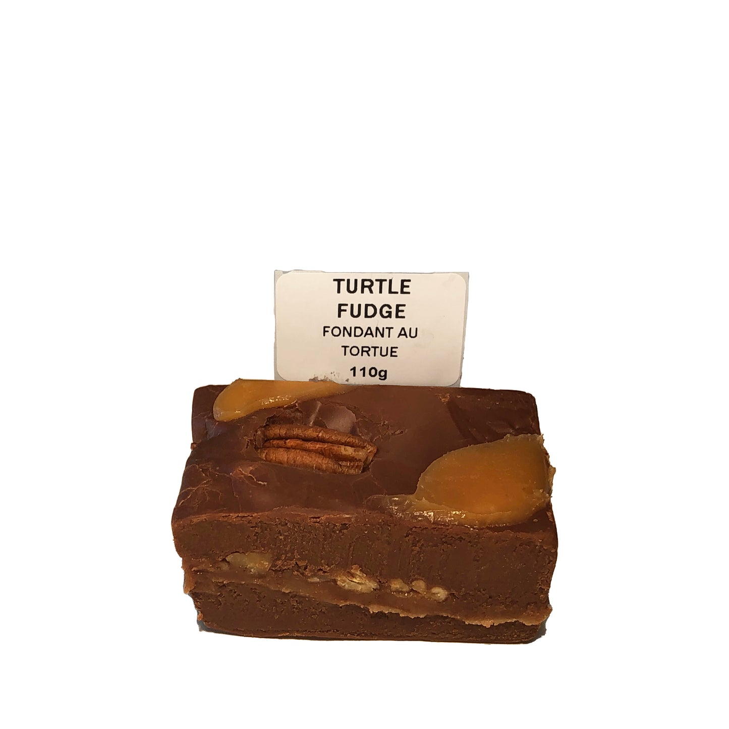 Turtle Fudge