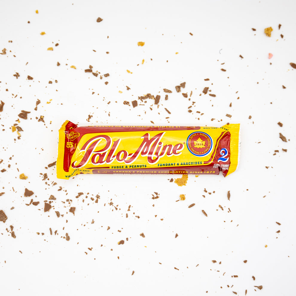 Arnie Chocolate/Palamino